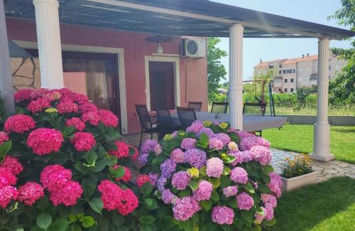 Vrvari Apartamento | Apartments Dragica
