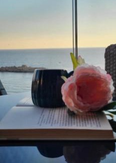 Sveti Stefan Apartamento | Apartments Dzaleta
