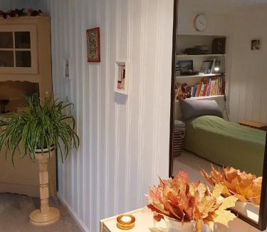 Asensbruk Apartamento | Apartments "Ecohouse" nearby Håverud Dalsland Sweden