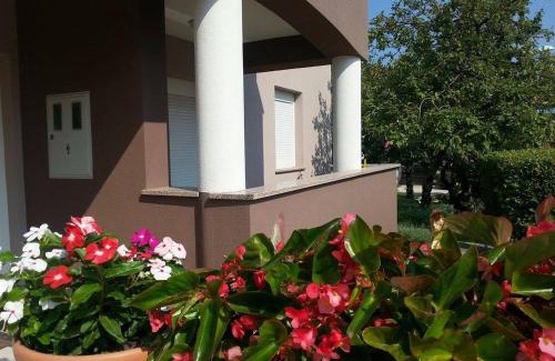 Gregovica Apartamento | Apartments Ema