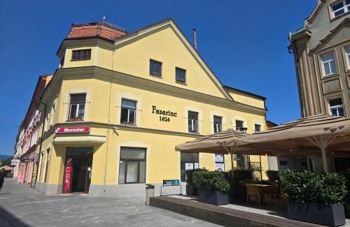 Celje Apartamento | Apartments Fazarinc with parking, wellness and city store in the center of Celje