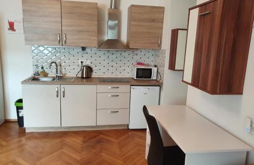 Celje Apartamento | Apartments Fazarinc with parking, wellness and city store in the center of Celje