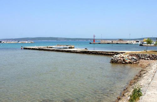 Zdrelac Apartamento | Apartments for families with children Zdrelac, Pasman - 8424