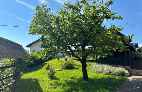 Bled Apartamento | Apartments Franc