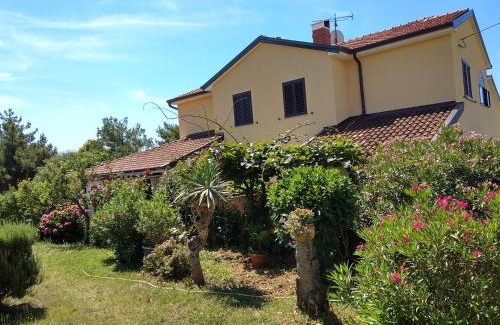 Zambratija Casa | Apartments Graziella Zambratija