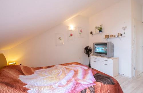 Siska District Apartamento | Apartments GreenSLO