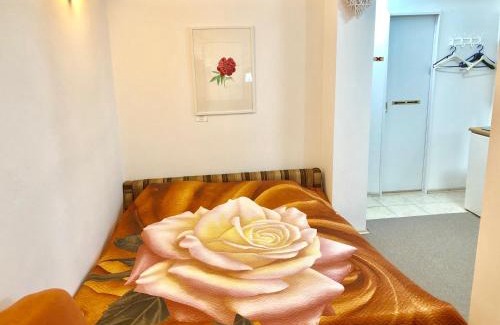 Siska District Apartamento | Apartments GreenSLO