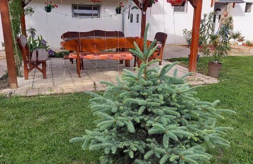 Vojvodina Apartamento | Apartments Iles