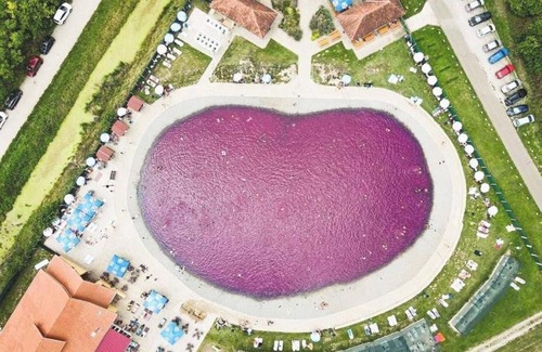 Vojvodina Apartamento | Apartments Iles