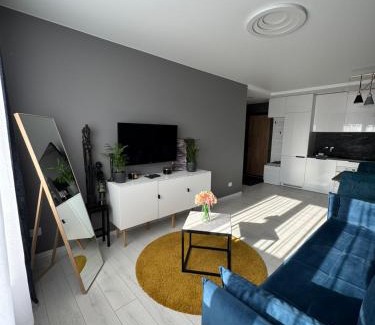 Siauliai City Center Apartamento | Apartments in Šiauliai city center