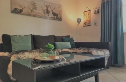 Wagrain Apartamento | Haus Obauer Top 2