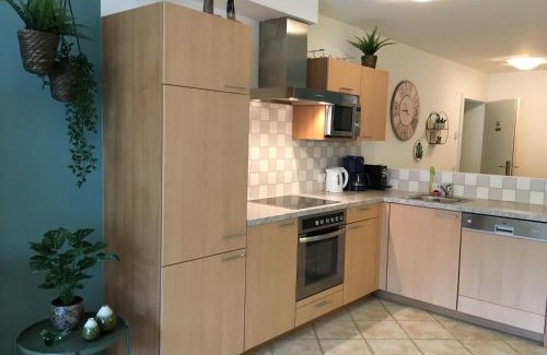 Wagrain Apartamento | Haus Obauer Top 2
