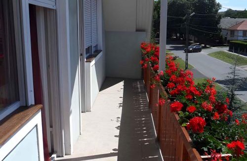 Balatonfoldvar Apartamento | Apartments in Balatonföldvar 45318