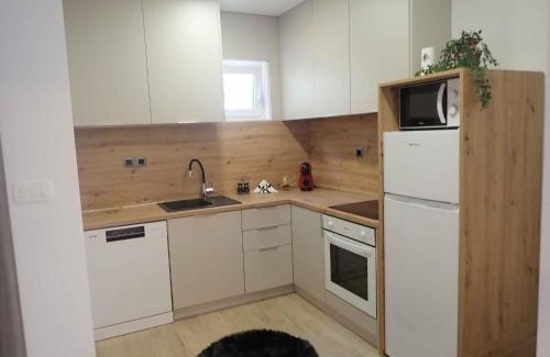 Susica Apartamento | Apartments in Baric Draga 40878