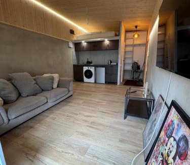 Kaunas Apartamento | Apartments in Kaunas