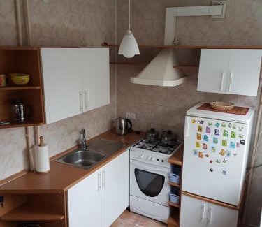 Panevezys Apartamento | Apartments in Panevezys city center