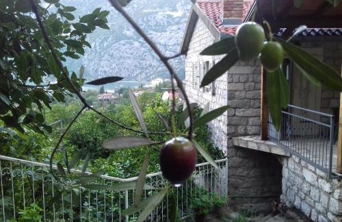 Risan Apartamento | Apartments in Rustic House
