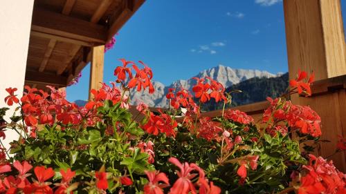 San Genesio Apartamento | Apartments Ingrid