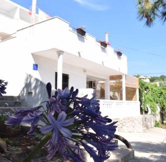 Molunat Apartamento | Apartments Klara