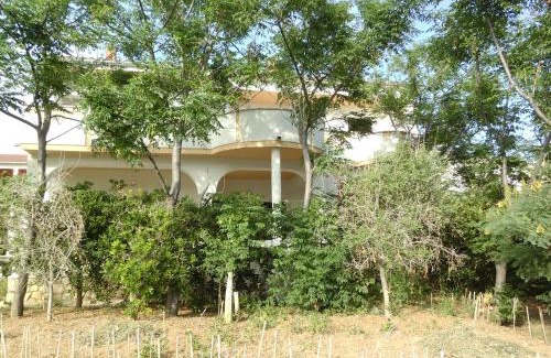 Pag Apartamento | Apartments Krešimir beauty with shadow trees and parking place