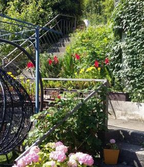 Skaljari Apartamento | Apartments Krivokapic