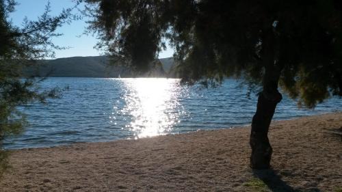 Seget Vranjica Apartamento | Apartments Kursan