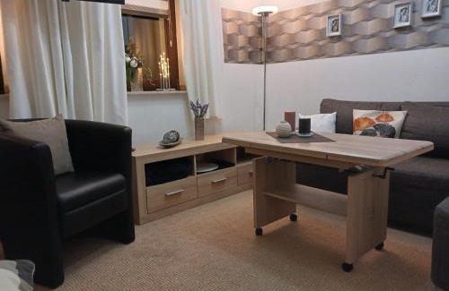 Oberwiesenthal Apartamento | Apartments - Lehmanns Ferienwohnungen