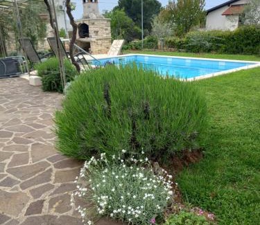 Fiorini Apartamento | Apartments Leone
