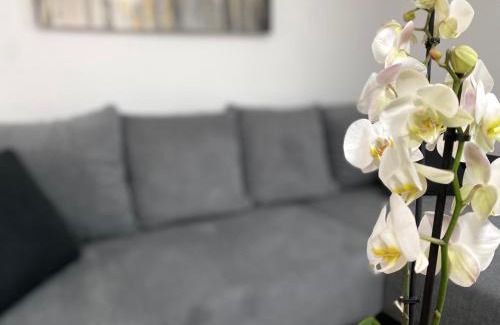 Durnstein Apartamento | Apartments Loim Lodge