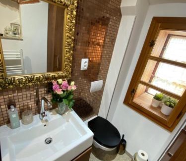Loket Apartamento | Apartments Loket No 59 se zahradou