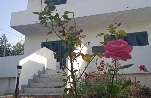 Zdrelac Apartamento | Apartments MARE