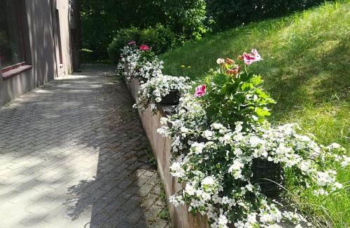 Zvejniekciems Apartamento | Apartments Melnalkšņi