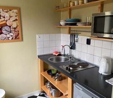 Marianske Lazne Apartamento | Apartments Merlin