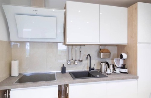 Secovlje Apartamento | Apartments Milok