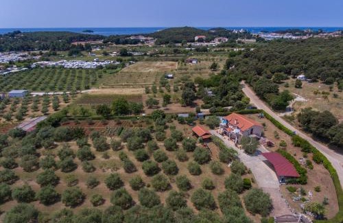 Vrsar Apartamento | Apartments Mirjana