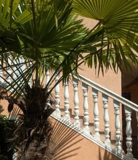Bregvija Apartamento | Apartments Montenegrina