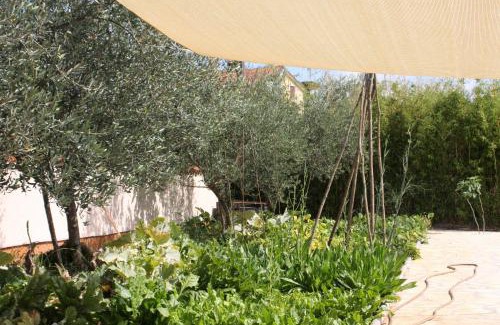 Umag Apartamento | Apartments Morje