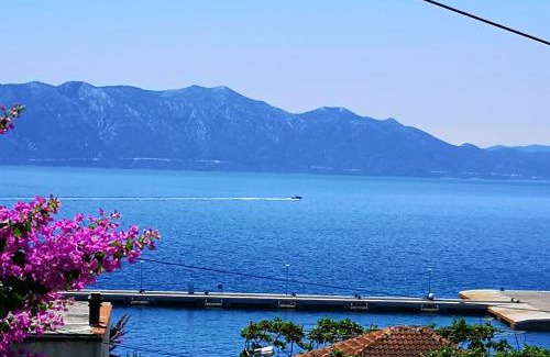 Sucuraj Apartamento | Apartments Nada
