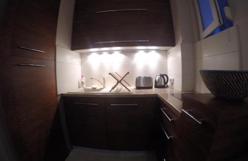 Vracar Apartamento | Apartments near St. Sava Temple