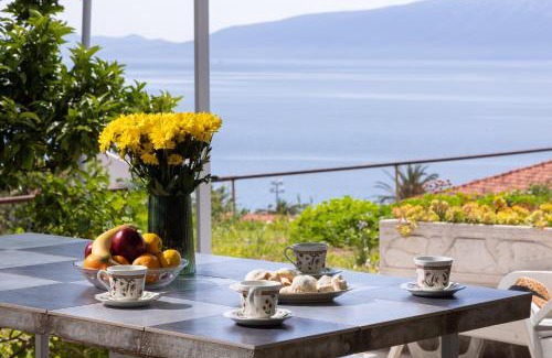 Gradac Apartamento | Apartments Nikolic