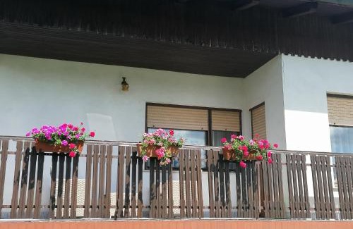 Ljubno Apartamento | Apartments Novak