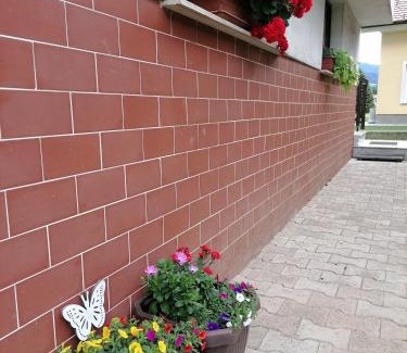 Ljubno Apartamento | Apartments Novak