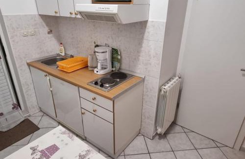 Brist Apartamento | Apartments Pansion Franka