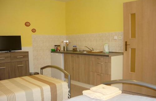Hradec Kralove Casa | Apartments - Penzion Lena