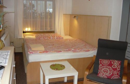 Hradec Kralove Casa | Apartments - Penzion Lena
