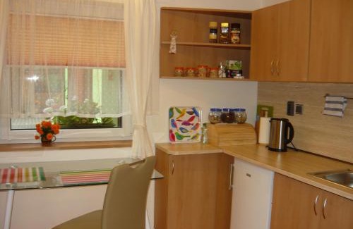 Hradec Kralove Casa | Apartments - Penzion Lena