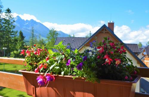 Stara Lesna Apartamento | Apartments Piknik