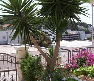 Krizna luka Apartamento | Apartments Prosperina Hvar