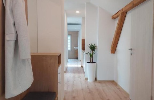 Zasip Apartamento | Apartments Repinc