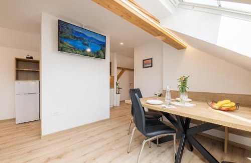 Zasip Apartamento | Apartments Repinc